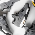 Air Jordan 4 Retro Cool Grey