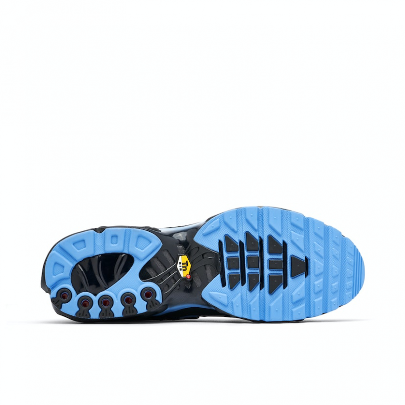 Air Max Plus Black University Blue