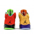 Air Jordan Retro 5 What The