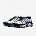 TN Air Max Plus Persian Violet