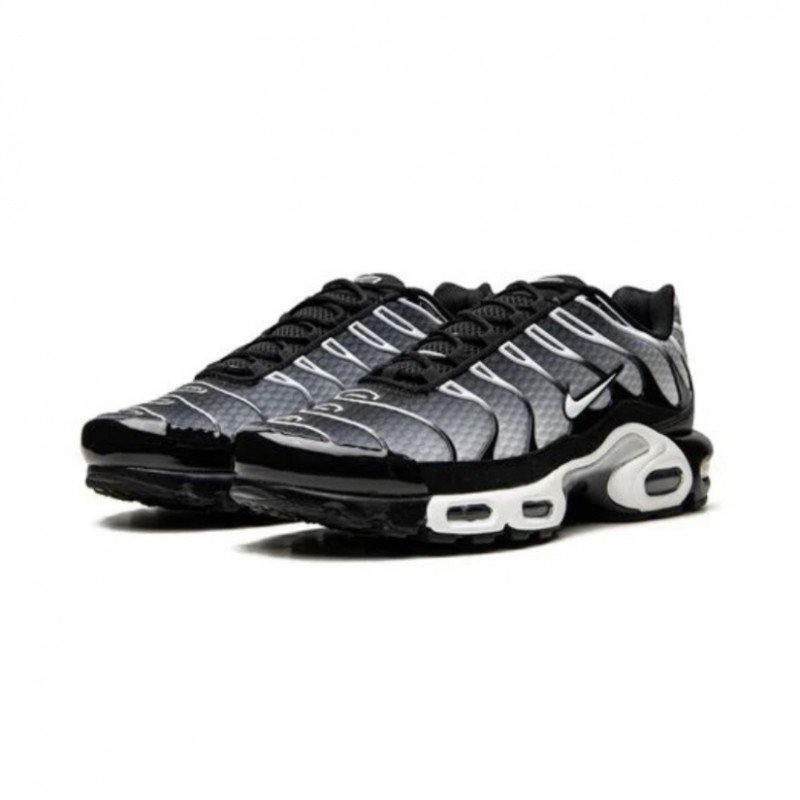 Air Max Plus Black Silver White