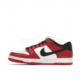 Dunk Low Pro Chicago