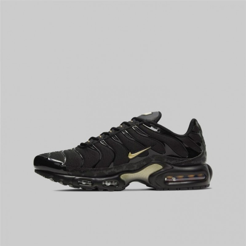 Air Max Plus Tuned Black