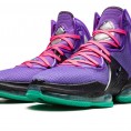 LeBron 19 DJ Bron