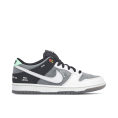 SB Dunk Low VX1000 Camcorder