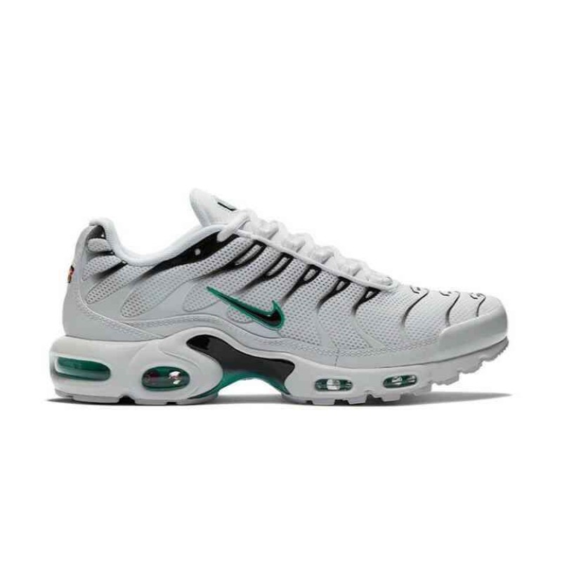 Air Max Plus Dusty Cactus