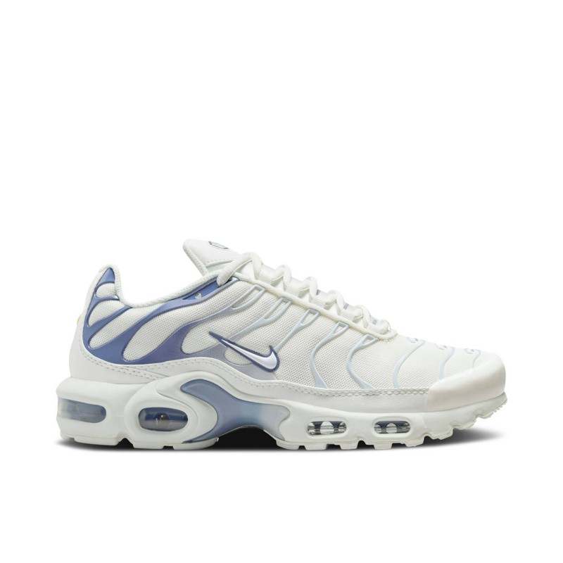 Air Max Plus Ashen Slate