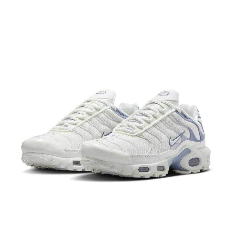 Air Max Plus Ashen Slate