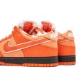 SB Dunk Low x Concepts Orange Lobster